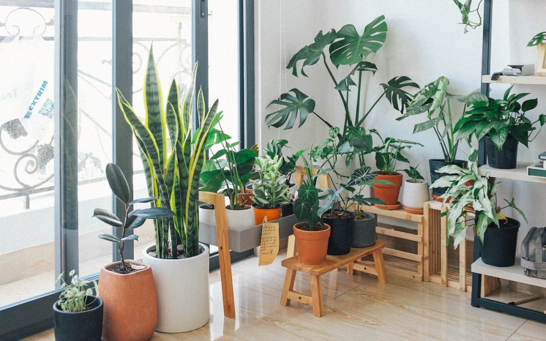 6 Stunning Designs and Types of Indoor Landscaping